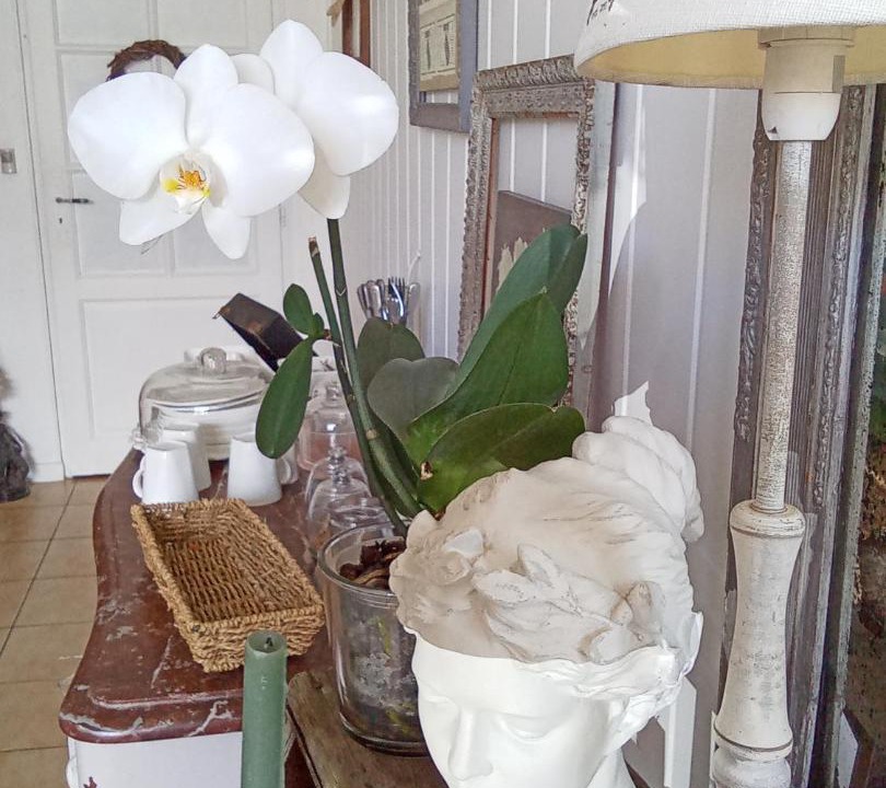 Photo of Others in Blye