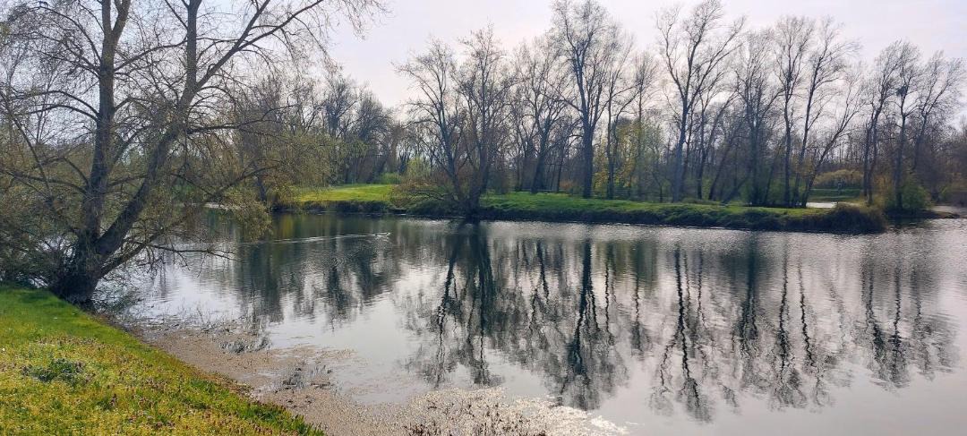 Photo of Others in Moulins