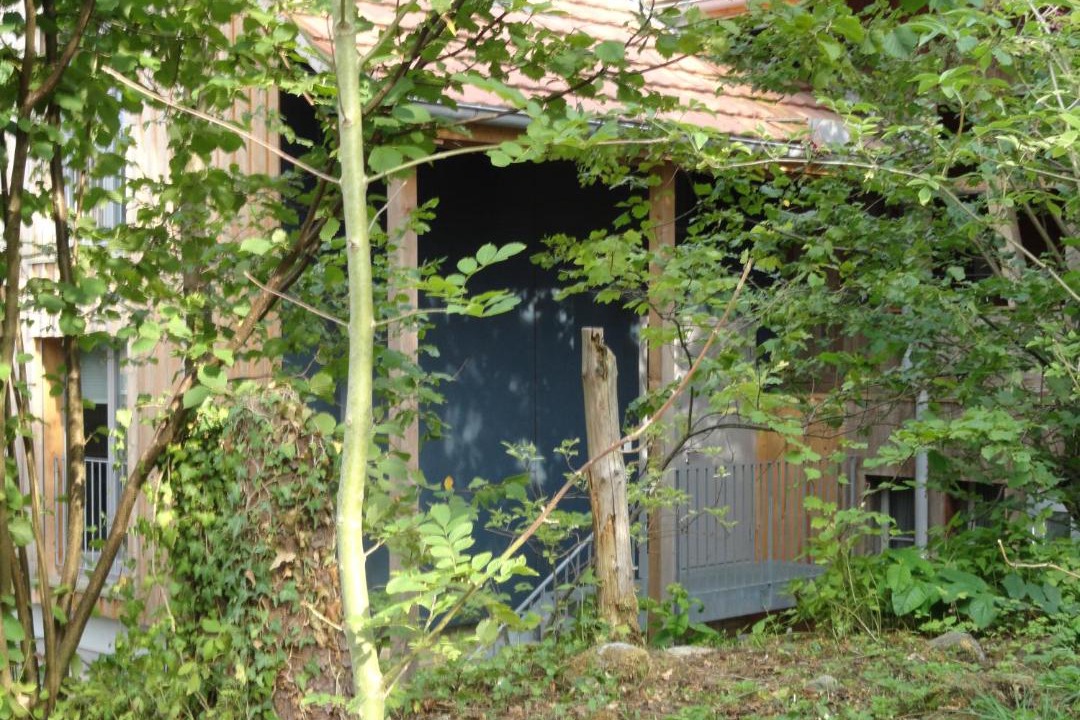 Photo of Others in Andelfingen District