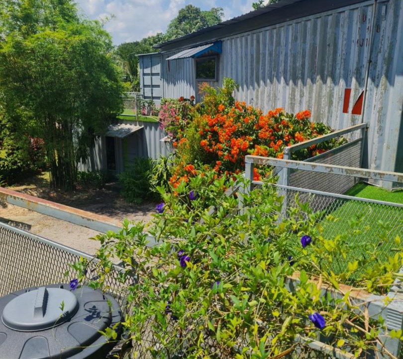 Photo of Others in Gelang Patah