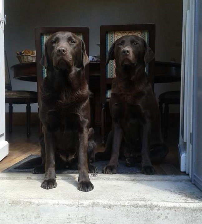 Photo of Others in Vailly-sur-Sauldre