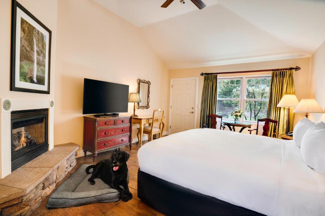 Photo of Bedroom in Silverton