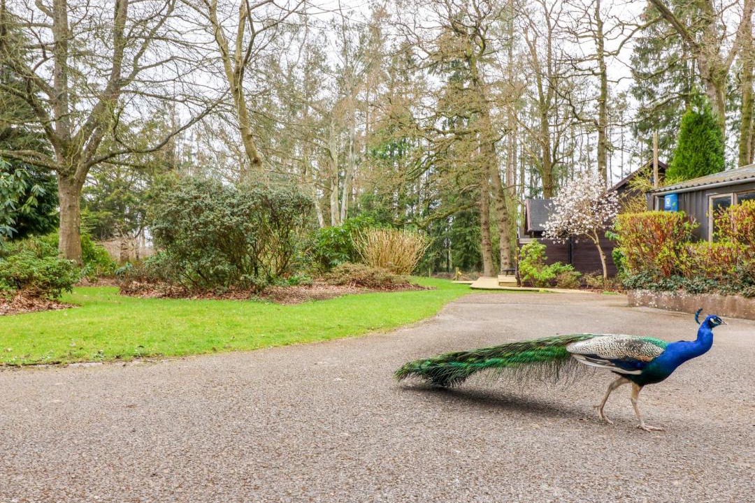 Photo of Others in Willand