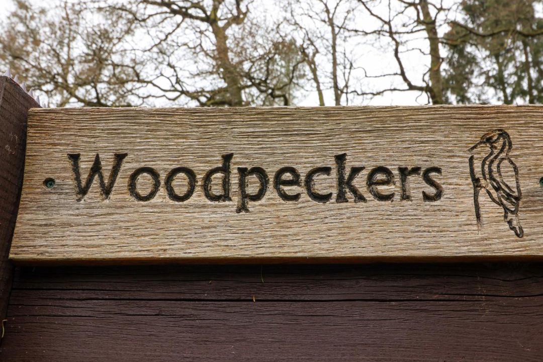 Photo of Others in Willand