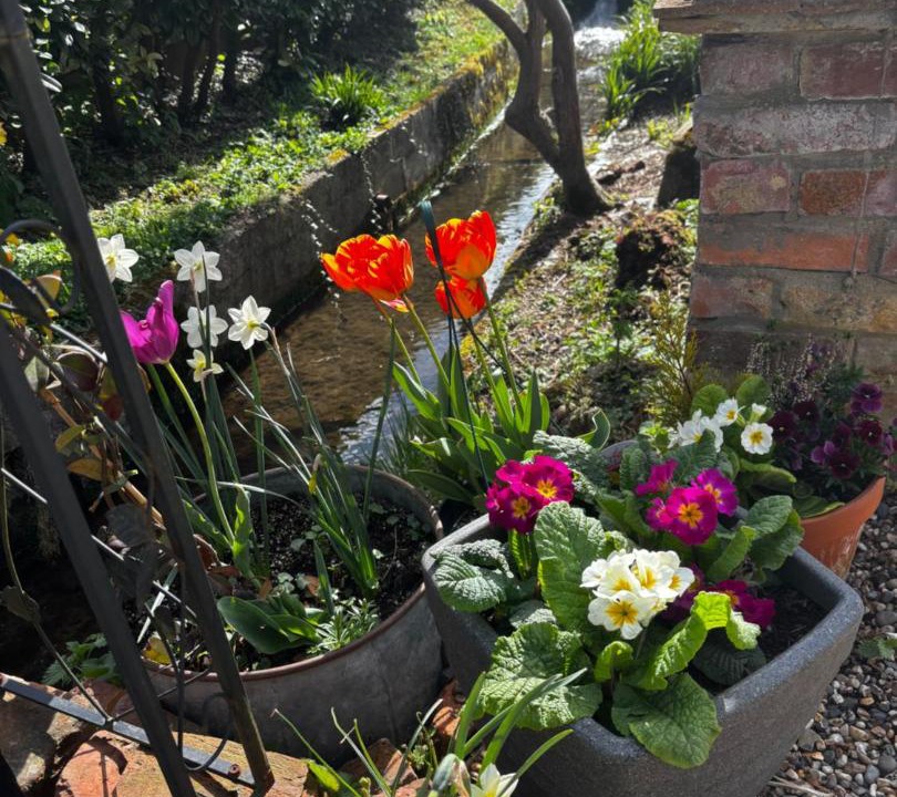 Photo of Others in Great Leighs