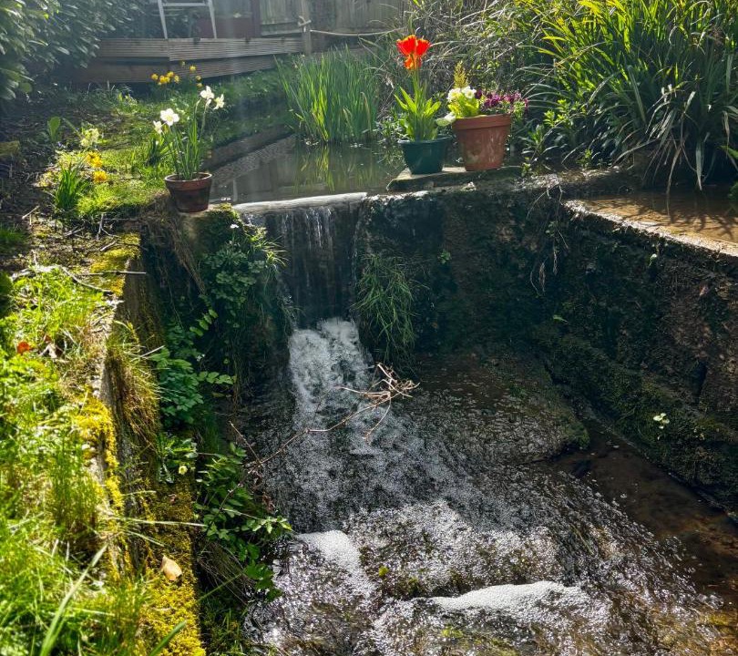 Photo of Others in Great Leighs