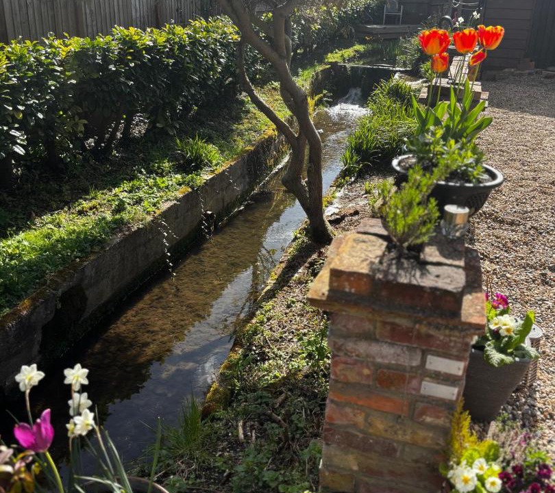 Photo of Others in Great Leighs