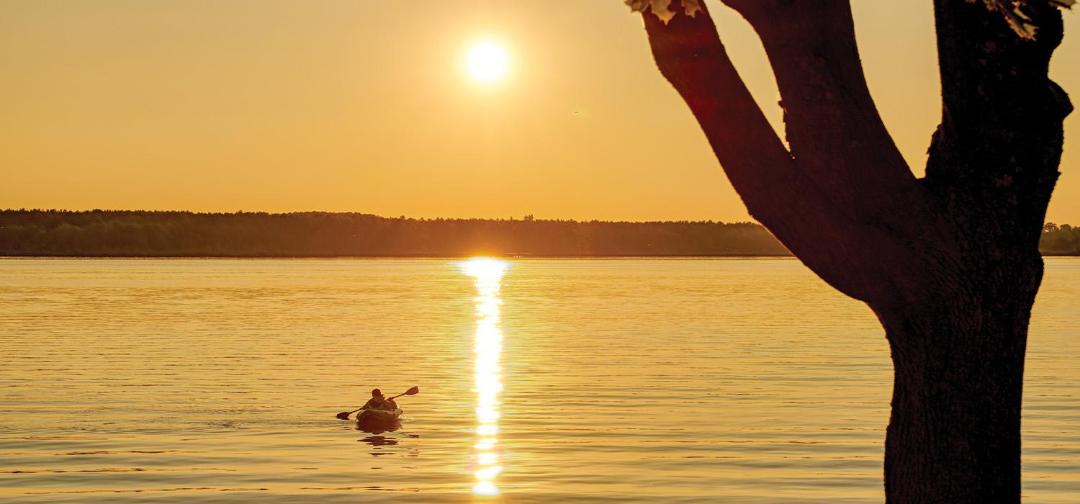 Photo of Others in Scugog