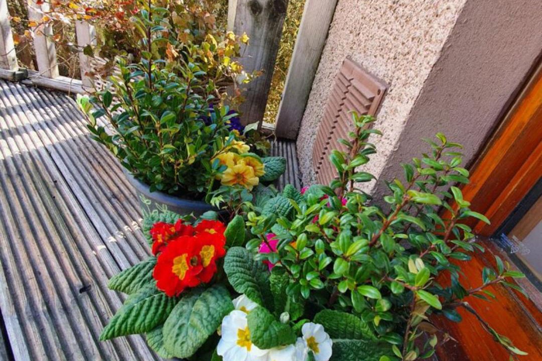 Photo of Patio Balcony in Logie Coldstone