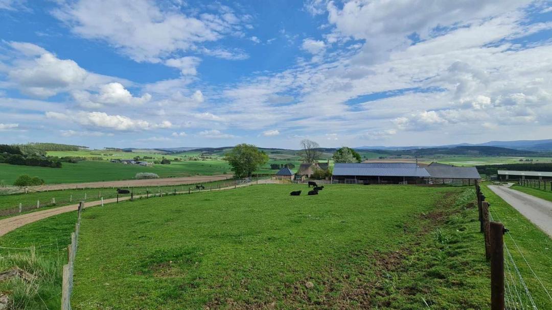 Photo of Others in Logie Coldstone