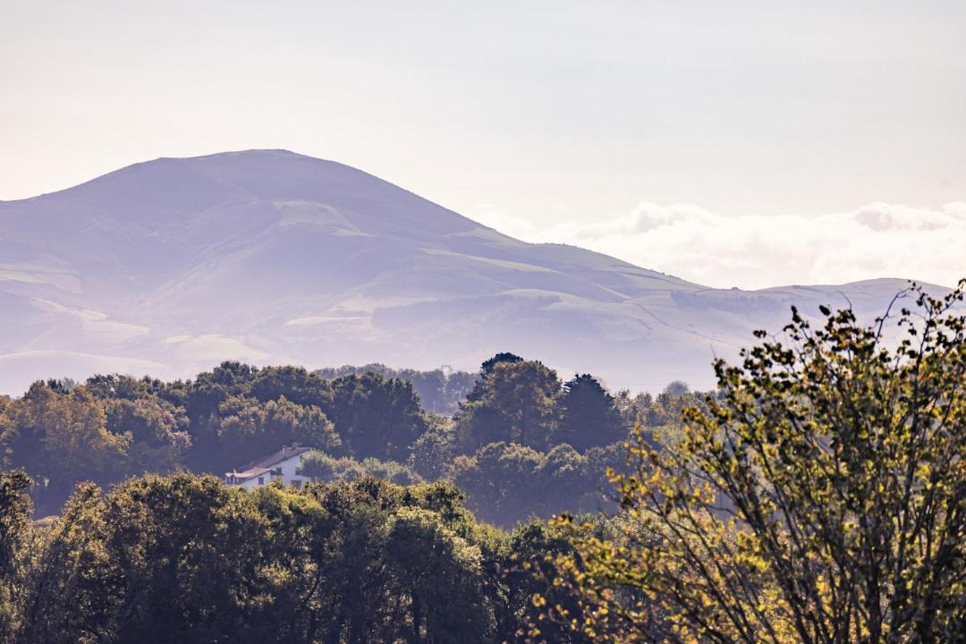 Photo of Others in Arbonne