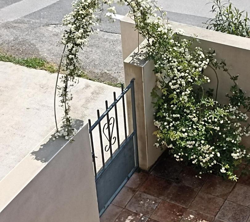 Photo of Others in Bages