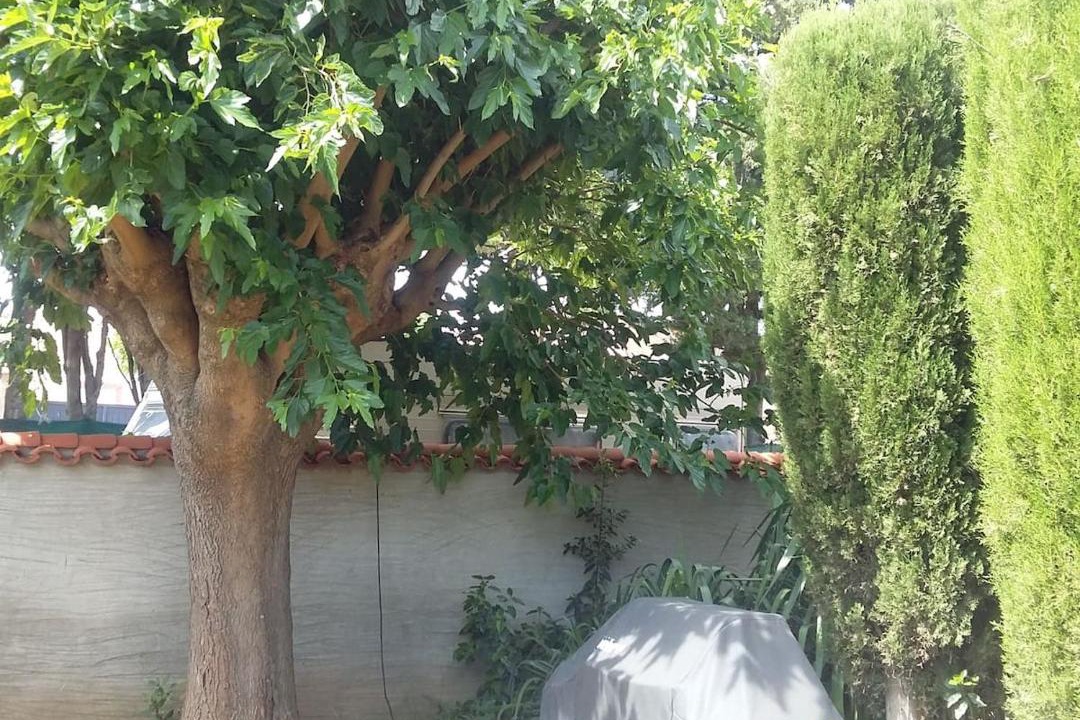 Photo of Outdoor in Lezignan-Corbieres