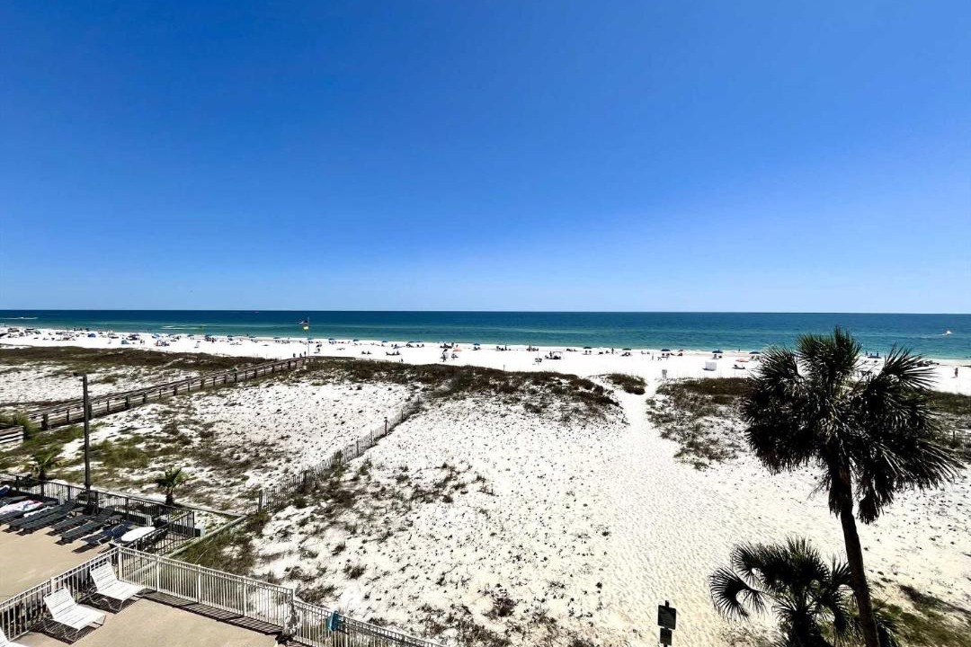 Photo of Others in Gulf Shores