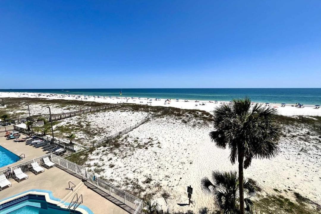 Photo of Others in Gulf Shores