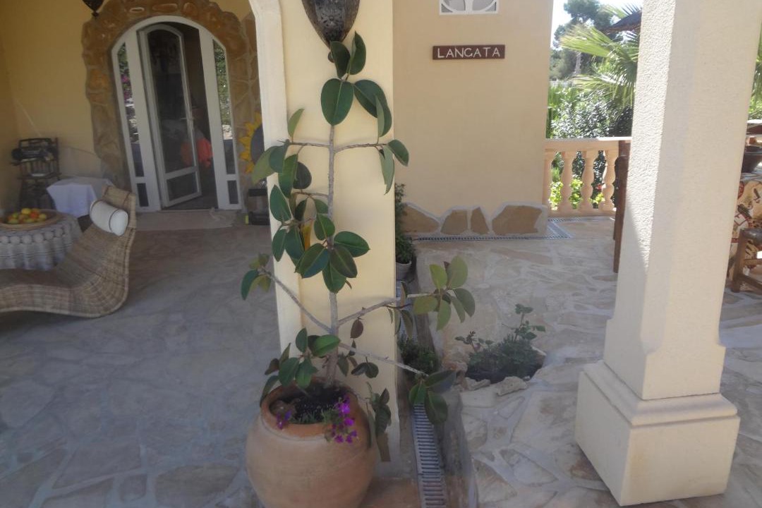 Photo of Others in Moravit
