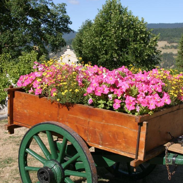 Photo of Others in Villard-de-Lans