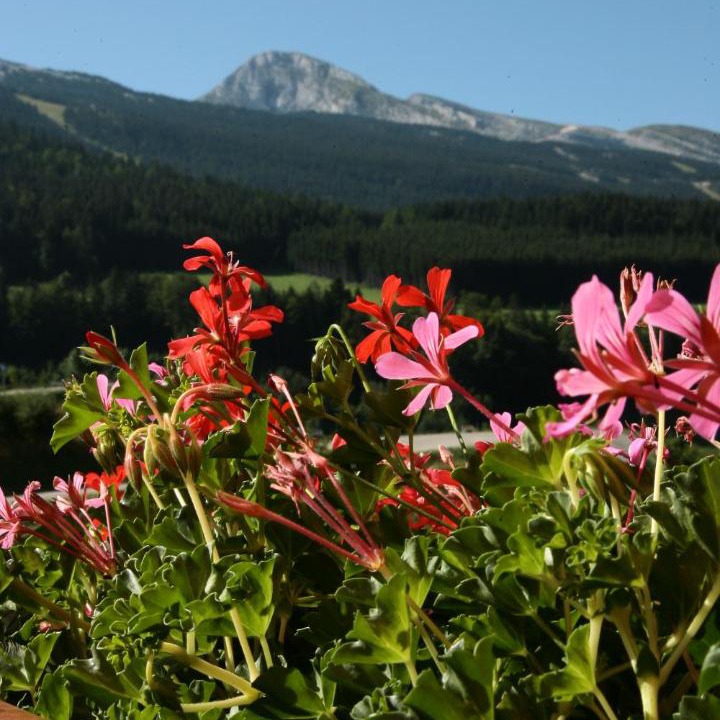 Photo of Others in Villard-de-Lans