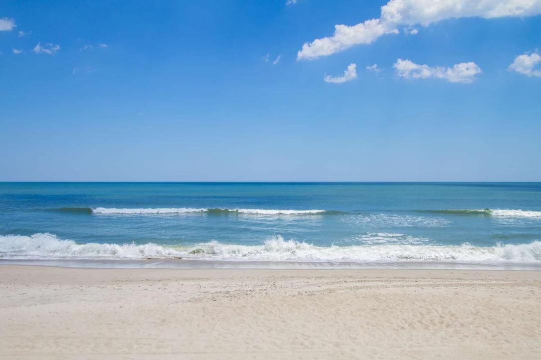 Photo of Others in North Carolina Coast