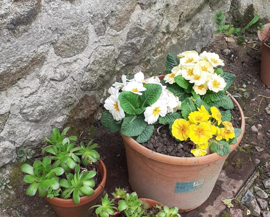 Photo of Others in Lignieres-Orgeres