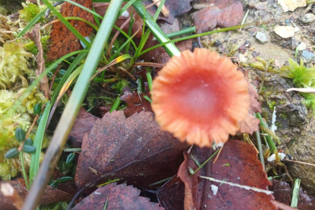 Photo of Outdoor in Criccieth
