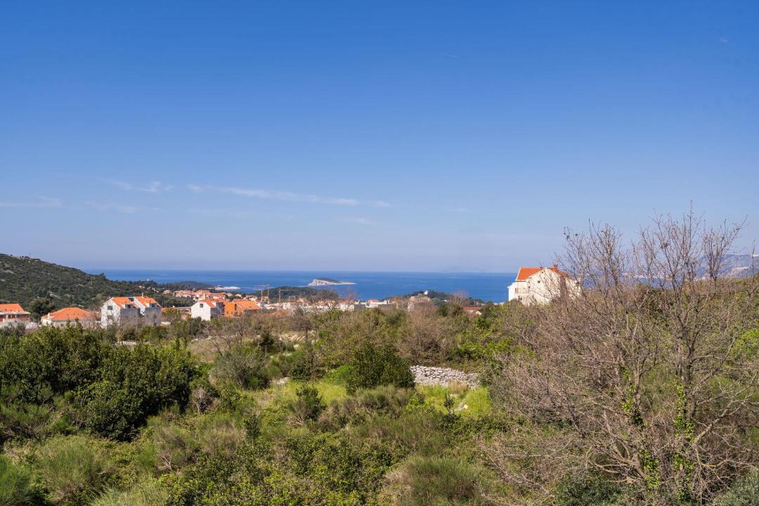 Photo of Others in Zvekovica