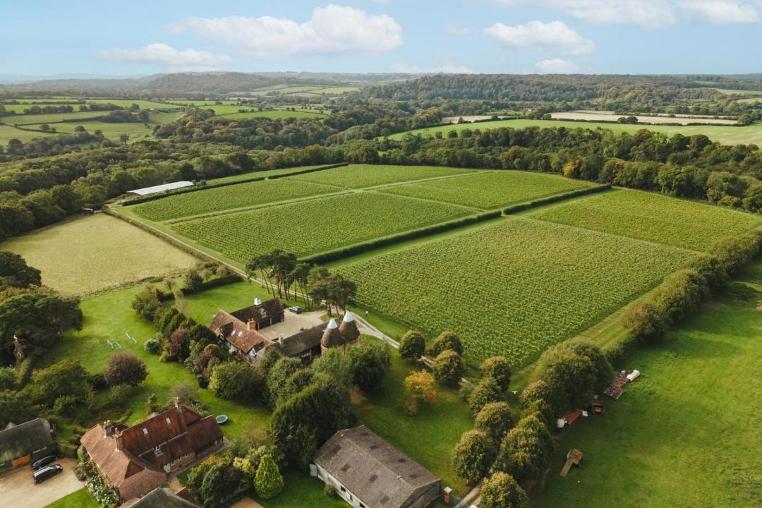 Photo of Others in Alton