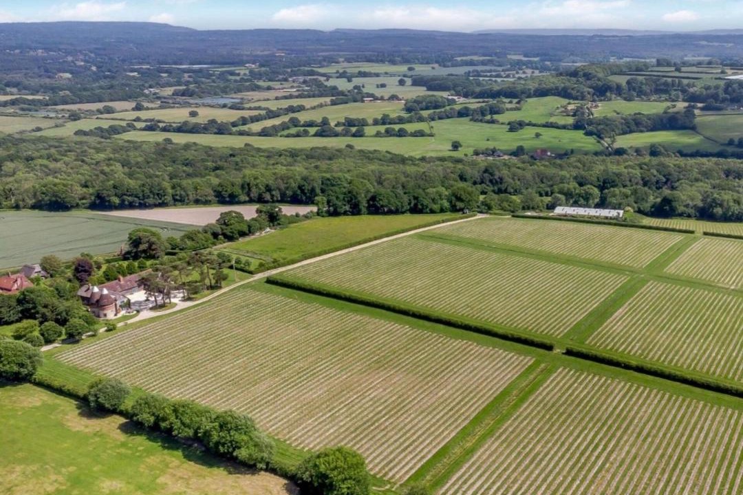 Photo of Others in Alton