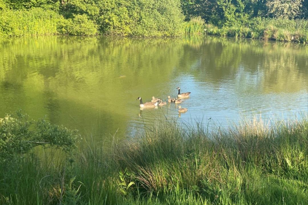 Photo of Others in Alton