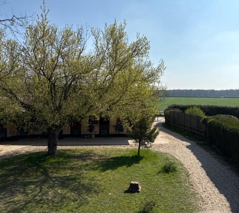 Photo of Others in Avilly-Saint-Leonard