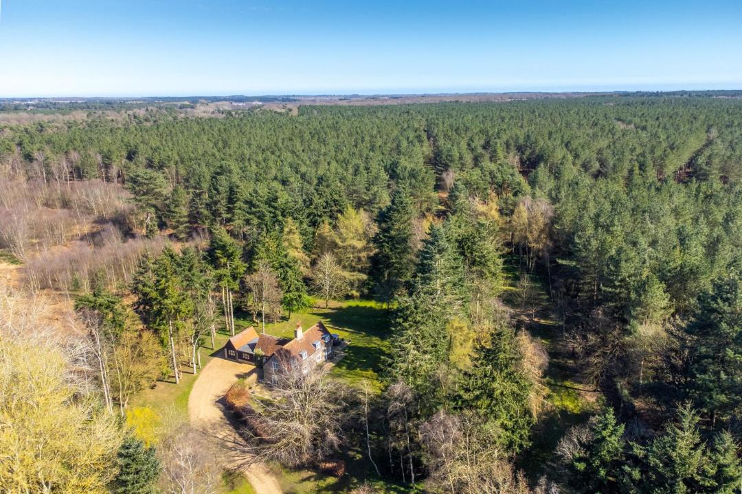 Photo of Others in Woodbridge