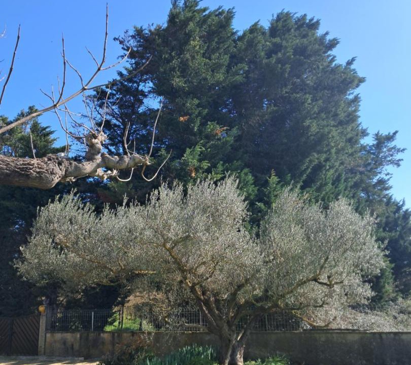 Photo of Others in Saint-Paulet-de-Caisson