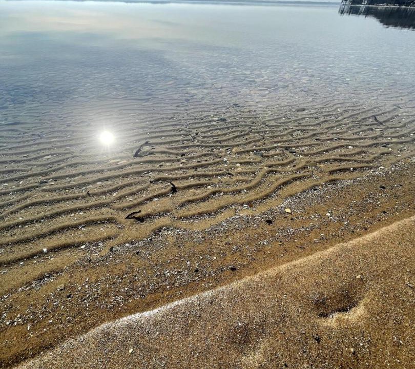 Photo of Others in Traverse City