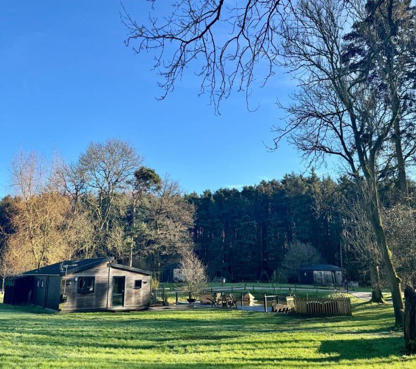 Photo of Others in Felton