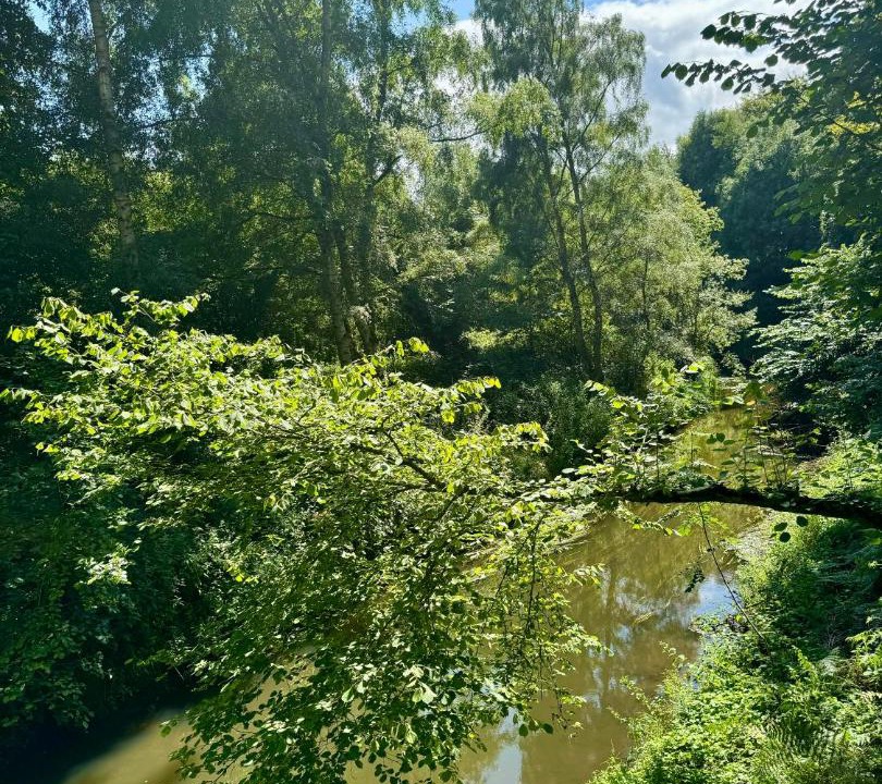 Photo of Others in Felton