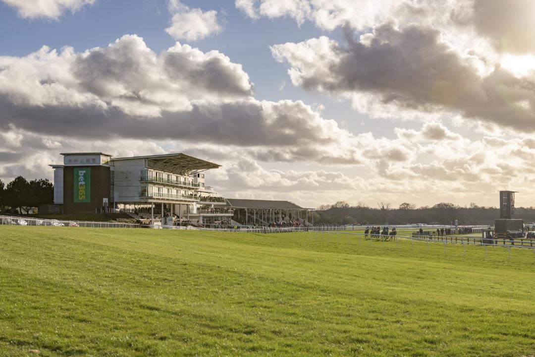 Photo of Others in York