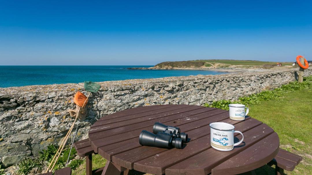 Photo of Others in Llanfaethlu