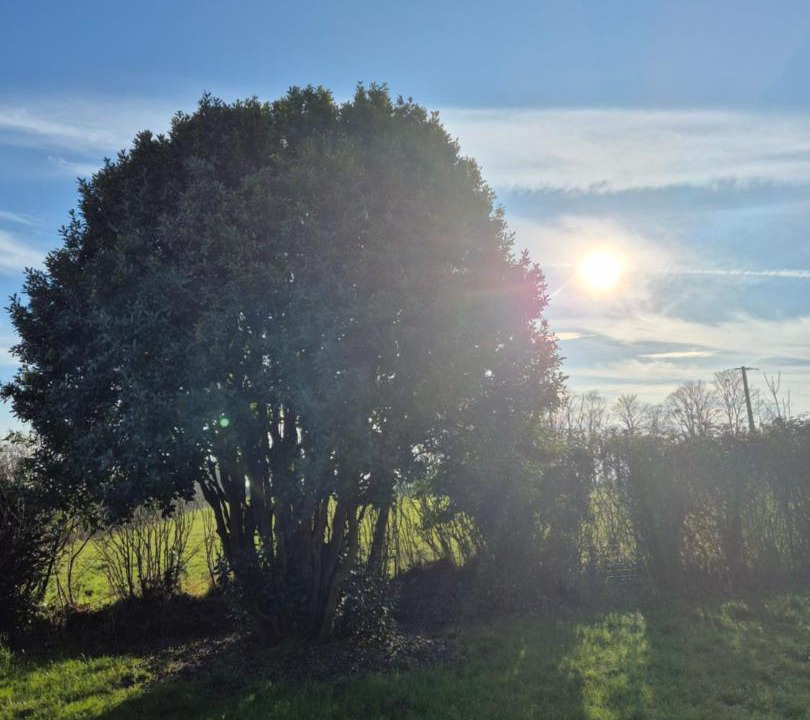 Photo of Outdoor in Longueville