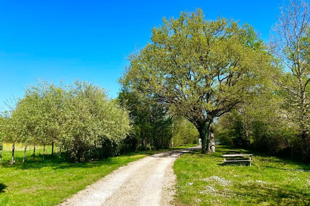 Photo of Others in La Ferte-Saint-Cyr