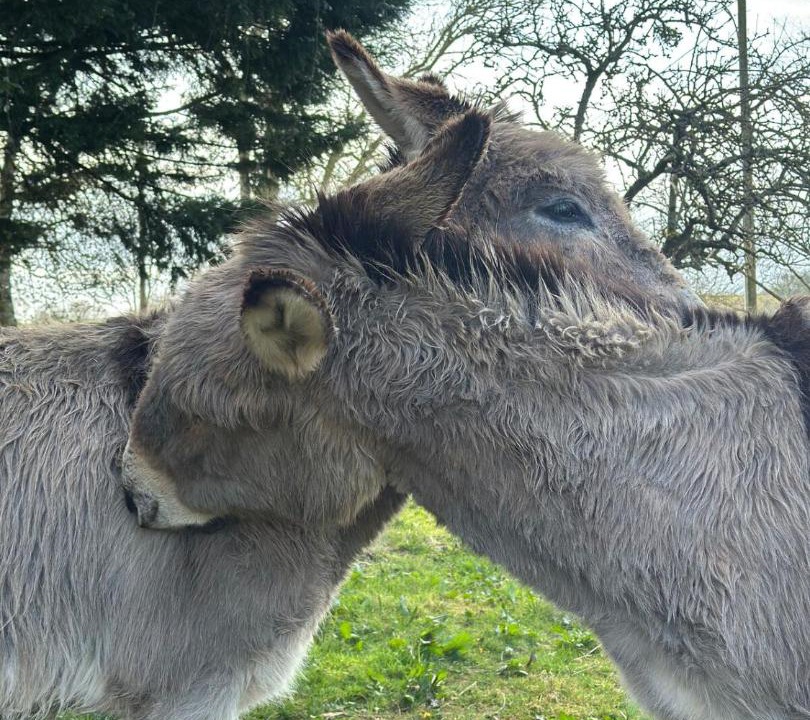 Photo of Others in Courgains