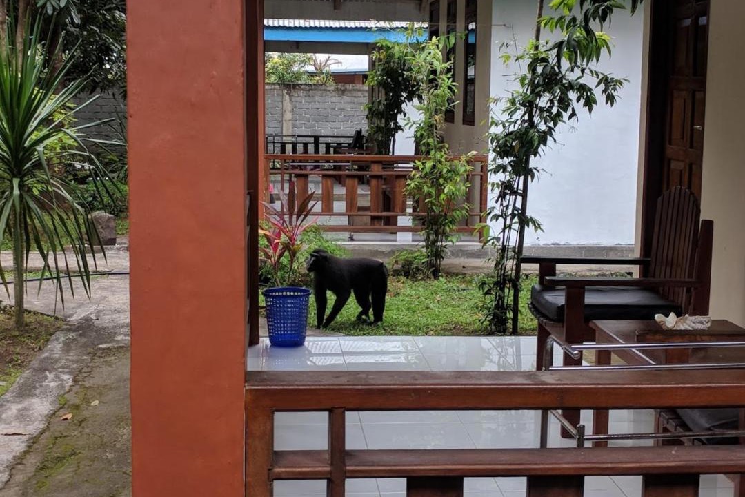 Photo of Others in Bitung