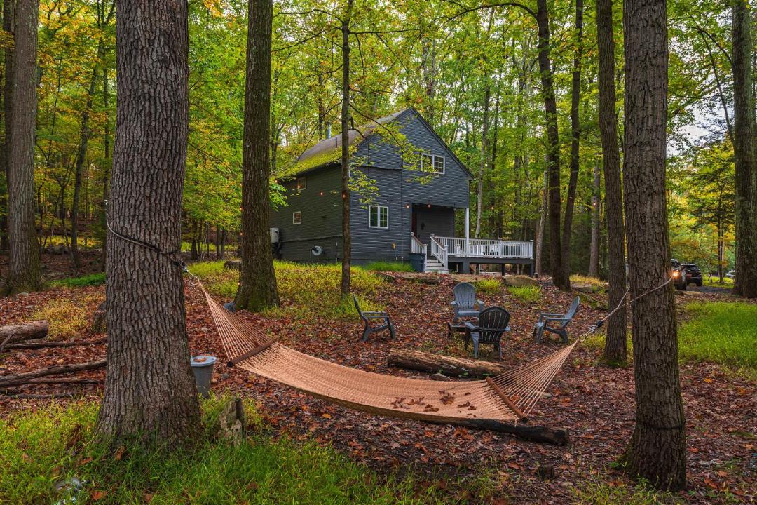 Photo of Others in Reeders