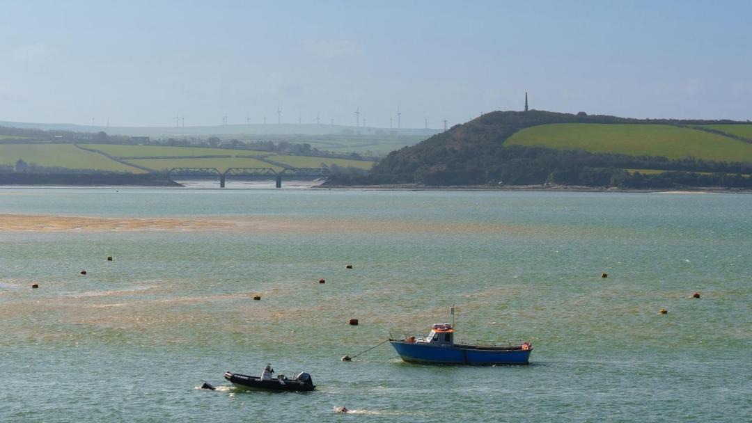 Photo of Others in Rock