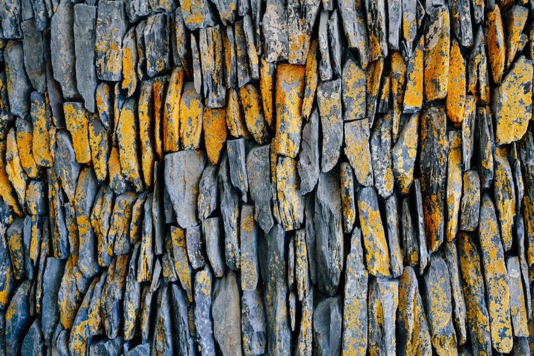 Photo of Others in Rock