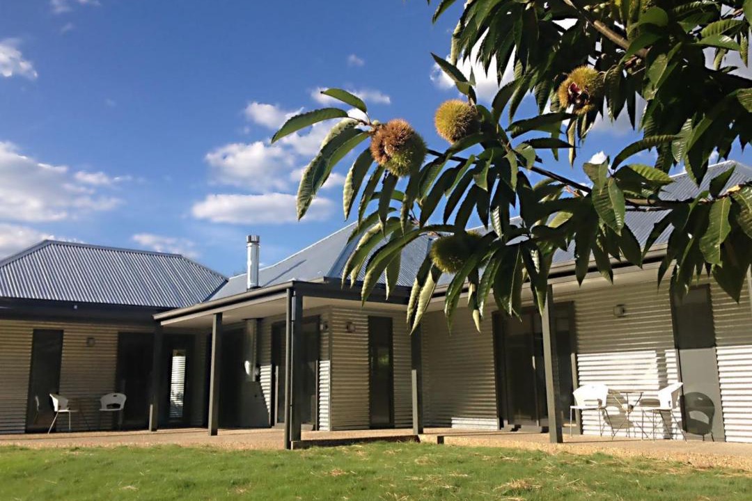 Photo of Others in Bright