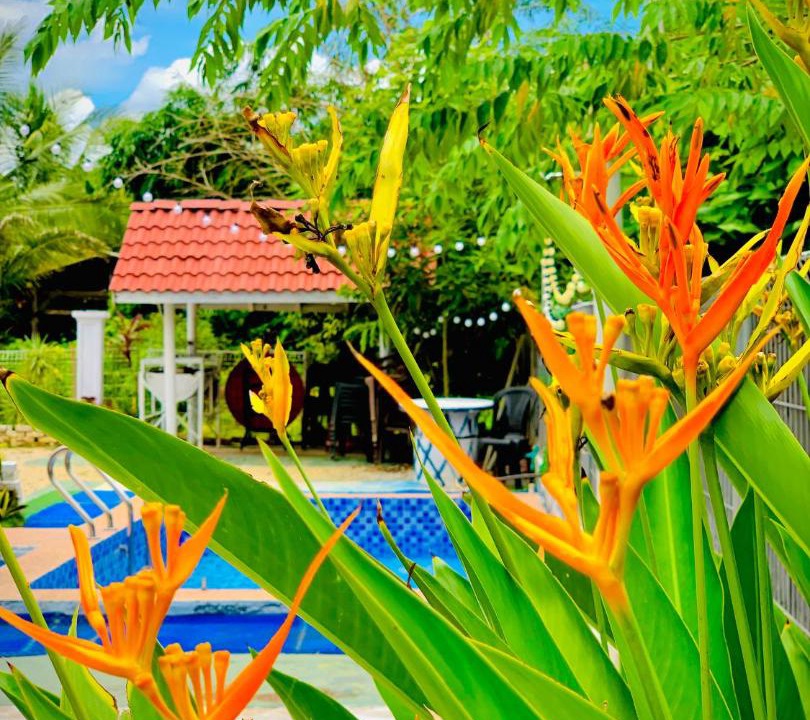 Photo of Others in Jerteh