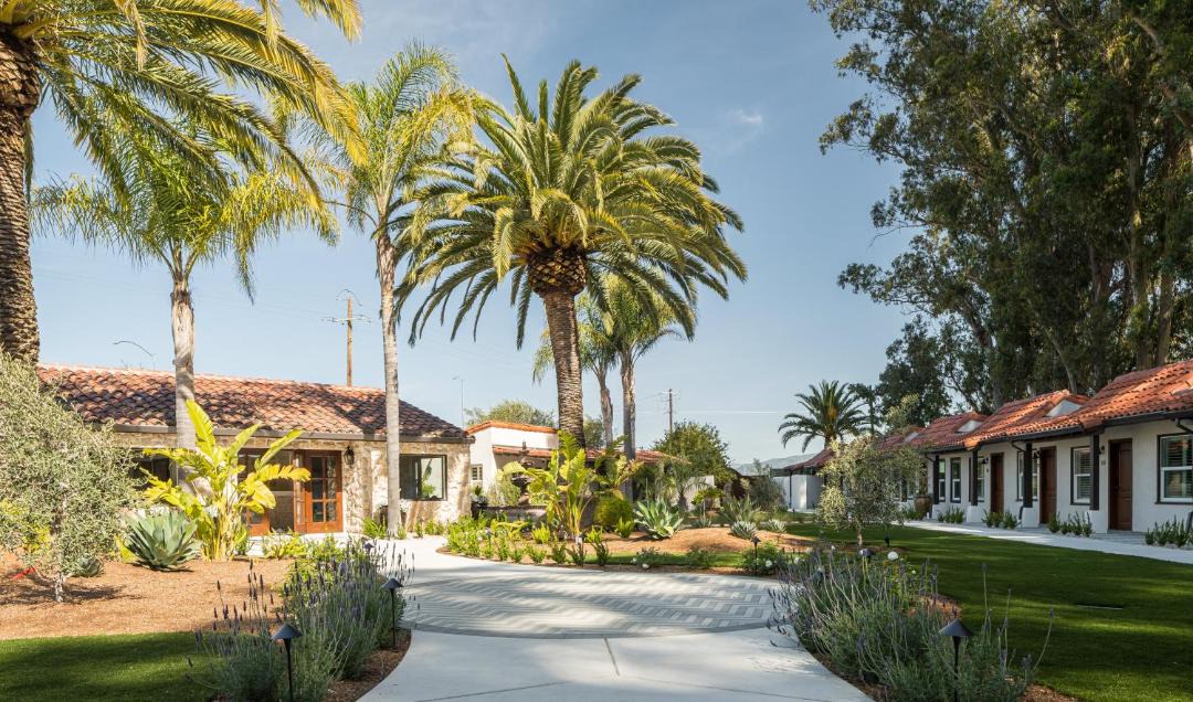 Photo of Others in Sonoma