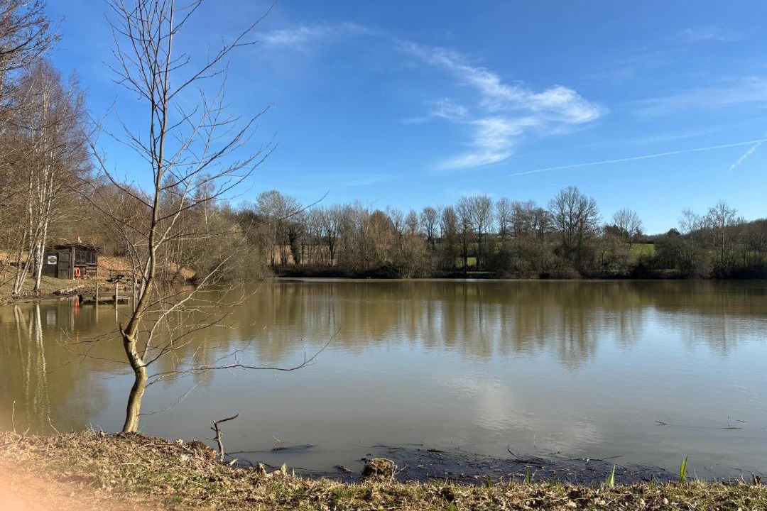 Photo of Others in Cuissai