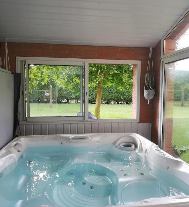 Photo of Others in Avignonet-Lauragais