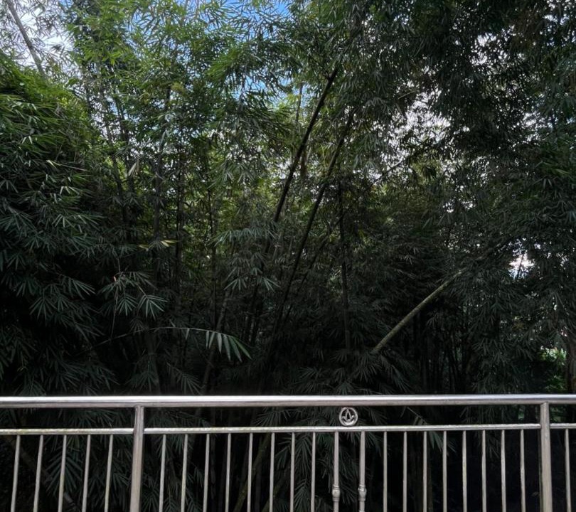 Photo of Others in North Toraja